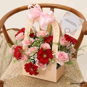 Blush Rose Bloom