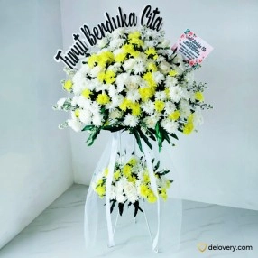 Brava Sunveil Tribute
