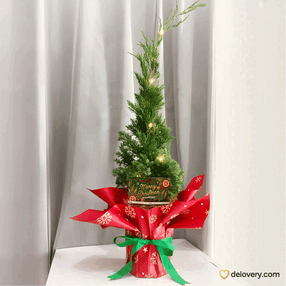 Candlepine Cheer