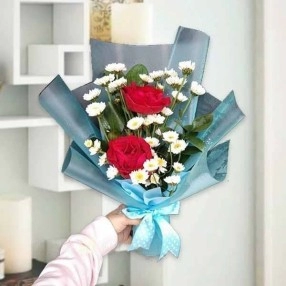 Candyfloss Red Rose