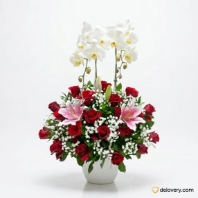 Center of Orchid