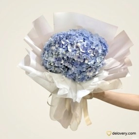 Cerulean Hydrangea Cloud
