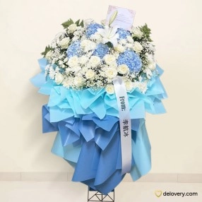 Cisara Stellar Bloom