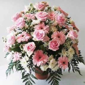 Extraordinary Pink