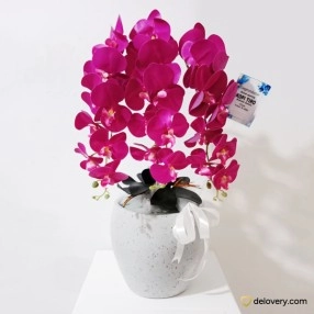 Crimson Phalae (Artificial)