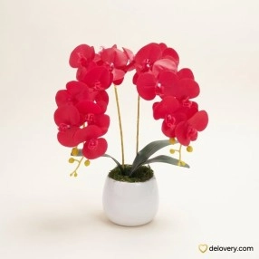 Crimson Twin Orchid (Artificial)