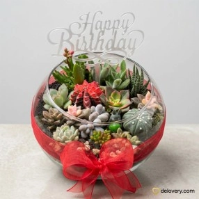 Crystal Clear Succulent