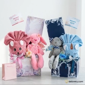 Cuddle & Dream Baby Box