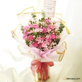 Double Carnations