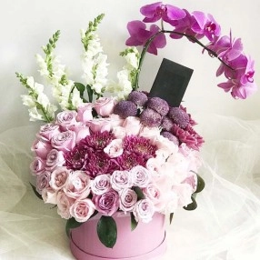 Just Give Me Lilac