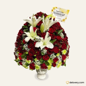 Elegance Lush