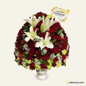 Elegance Lush