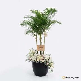 Emerald Palm Elegance