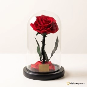 Endless Crimson Vow