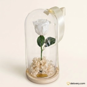 Eternal Ivory Beauty