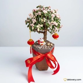 Eternal Luck Bonsai Mini