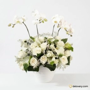 Eternal White