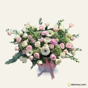 Eveline Sweet