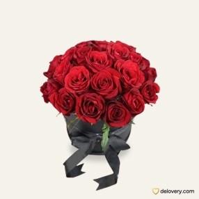 Fienna Red