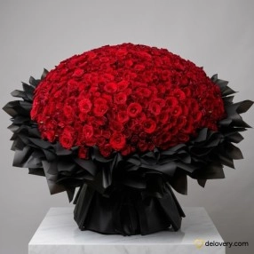 Five Hundred Roses