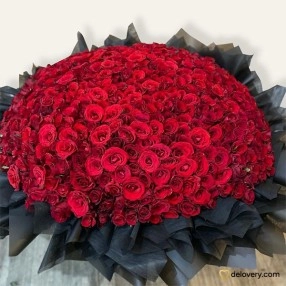Five Hundred Roses