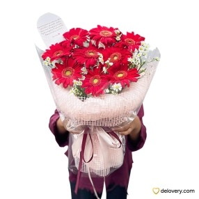 Gerbera Serenade