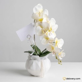 Golden Ivory Tale (Artificial)