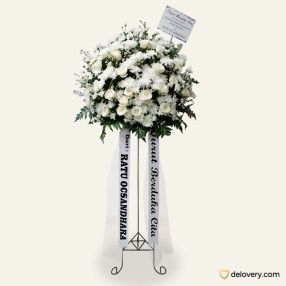 White Graceful Petals