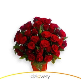 Roses