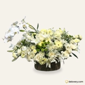 Harmony in White Bloombox
