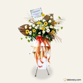 Harmony Sunny