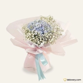Hydrangea in Love