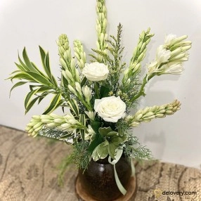 Ivory Bliss