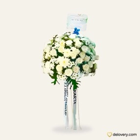Ivory Creation