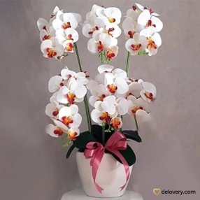 Ivory Crown (Artificial)