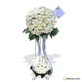 Ivory Eternity