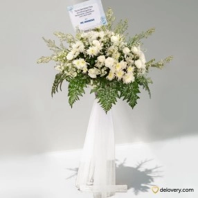 Ivory Fern