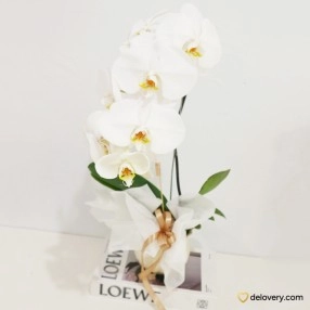 Ivory Orchid Charm
