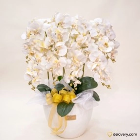 Ivory Radiance Orchid (Artificial)