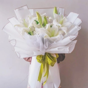 Lily Blossoms