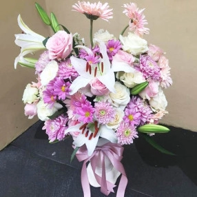Lily in Rose