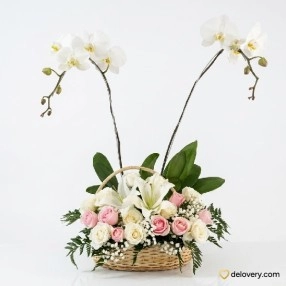 Lily of Little Girl
