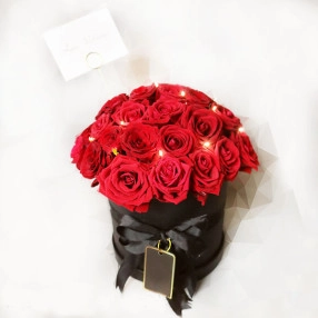 Magic Red Bloom