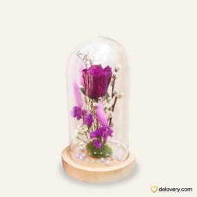 Majesty of Violet