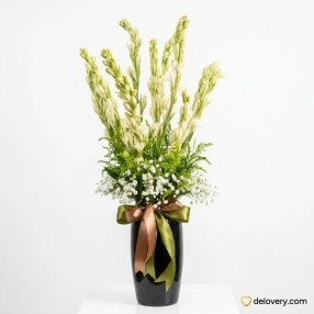 Midnight Serenity Tuberose