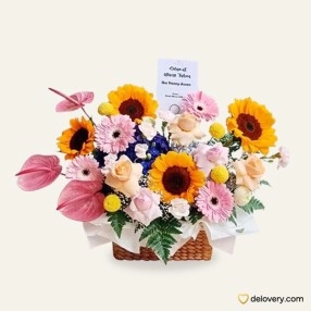 Mirabelle for You