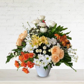 Clara Flower