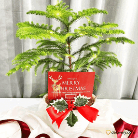 Nordic Noel Tree