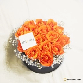 Oranges in Box