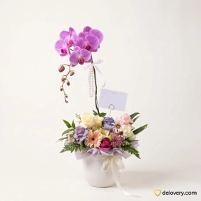 Orchid Blossom Garden